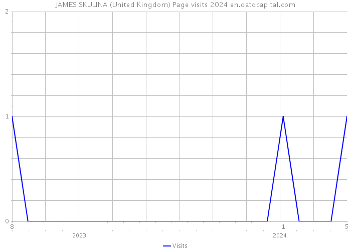JAMES SKULINA (United Kingdom) Page visits 2024 