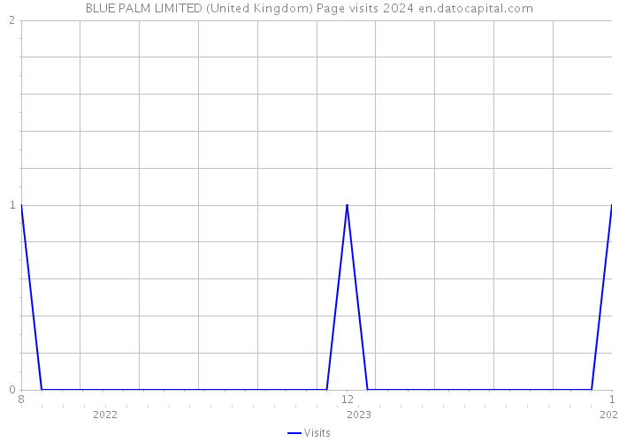 BLUE PALM LIMITED (United Kingdom) Page visits 2024 