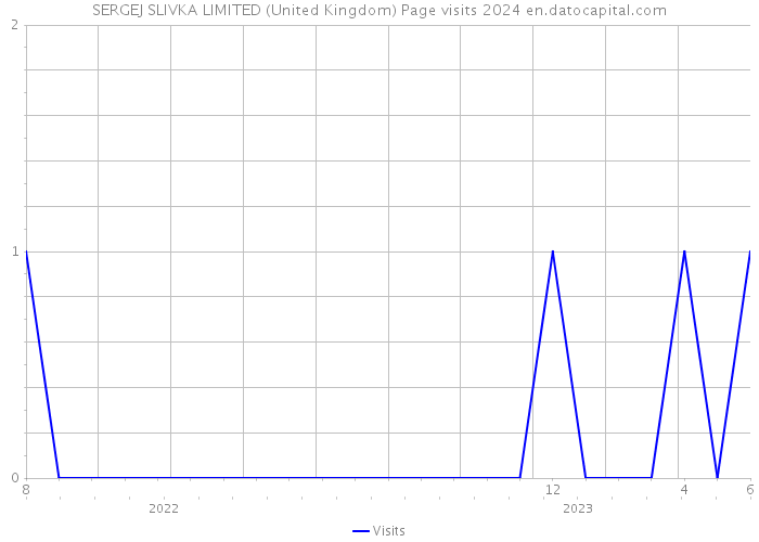 SERGEJ SLIVKA LIMITED (United Kingdom) Page visits 2024 