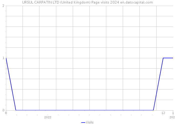 URSUL CARPATIN LTD (United Kingdom) Page visits 2024 
