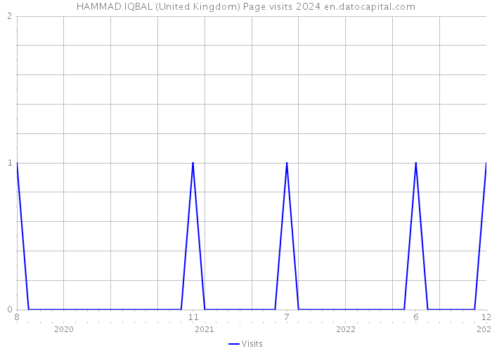 HAMMAD IQBAL (United Kingdom) Page visits 2024 