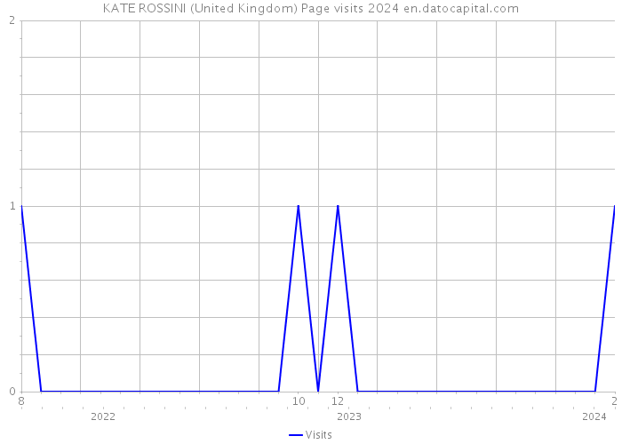 KATE ROSSINI (United Kingdom) Page visits 2024 