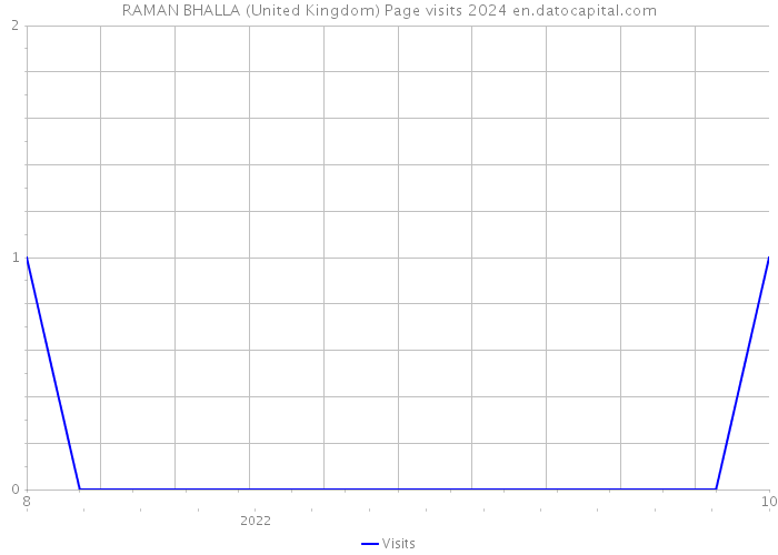 RAMAN BHALLA (United Kingdom) Page visits 2024 
