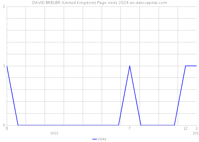 DAVID BREUER (United Kingdom) Page visits 2024 