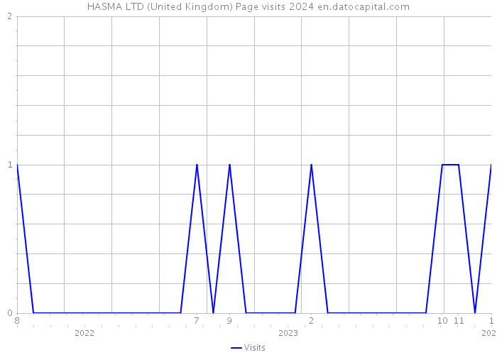 HASMA LTD (United Kingdom) Page visits 2024 