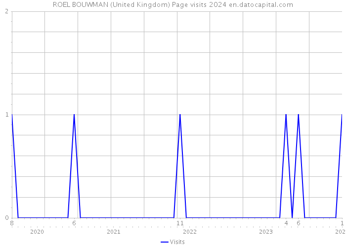 ROEL BOUWMAN (United Kingdom) Page visits 2024 