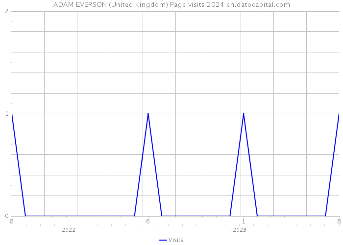 ADAM EVERSON (United Kingdom) Page visits 2024 