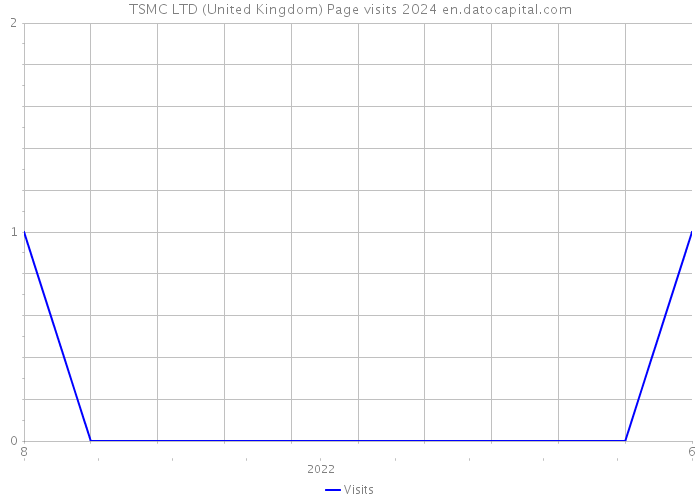 TSMC LTD (United Kingdom) Page visits 2024 