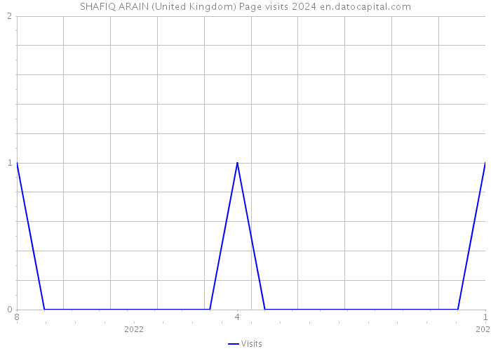 SHAFIQ ARAIN (United Kingdom) Page visits 2024 