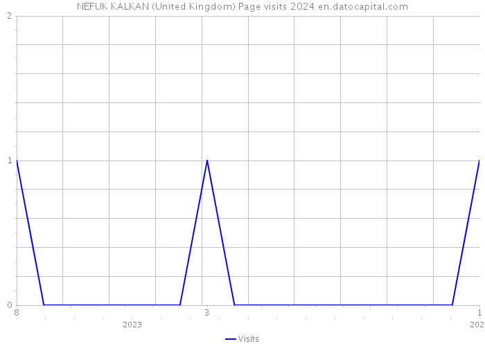 NEFUK KALKAN (United Kingdom) Page visits 2024 