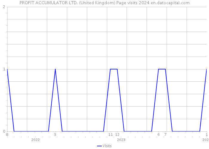PROFIT ACCUMULATOR LTD. (United Kingdom) Page visits 2024 