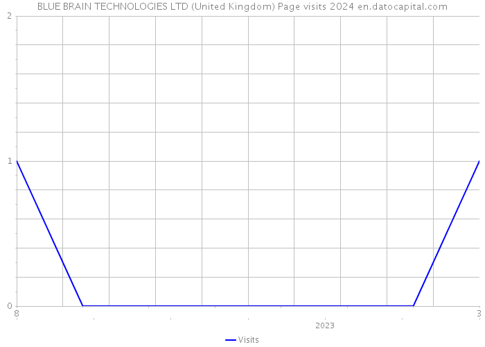 BLUE BRAIN TECHNOLOGIES LTD (United Kingdom) Page visits 2024 