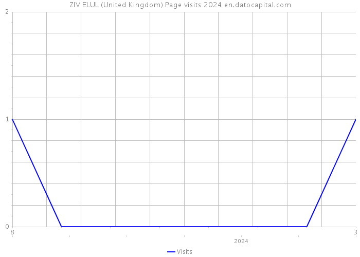 ZIV ELUL (United Kingdom) Page visits 2024 
