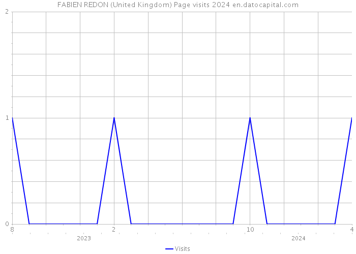 FABIEN REDON (United Kingdom) Page visits 2024 