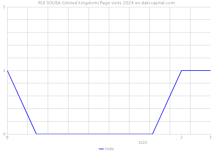 RUI SOUSA (United Kingdom) Page visits 2024 