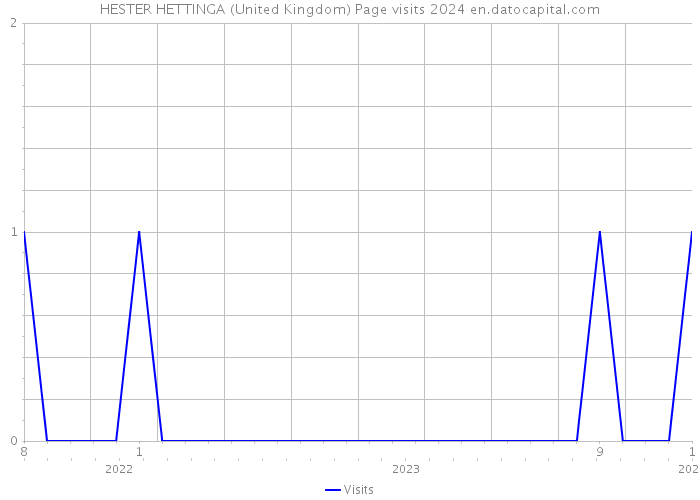 HESTER HETTINGA (United Kingdom) Page visits 2024 
