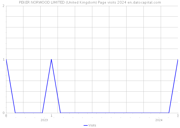 PEKER NORWOOD LIMITED (United Kingdom) Page visits 2024 