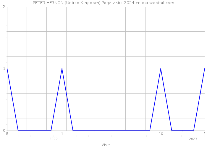 PETER HERNON (United Kingdom) Page visits 2024 