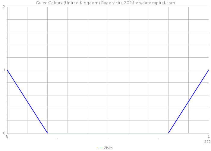 Guler Goktas (United Kingdom) Page visits 2024 