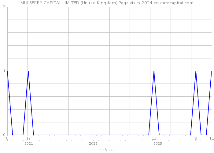 MULBERRY CAPITAL LIMITED (United Kingdom) Page visits 2024 