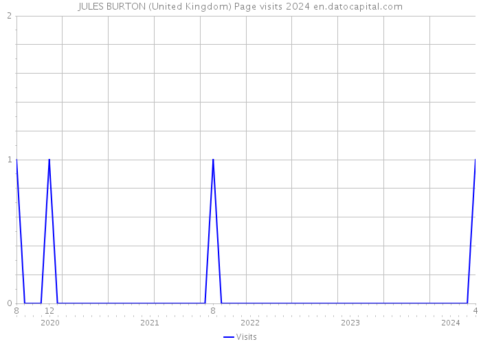 JULES BURTON (United Kingdom) Page visits 2024 