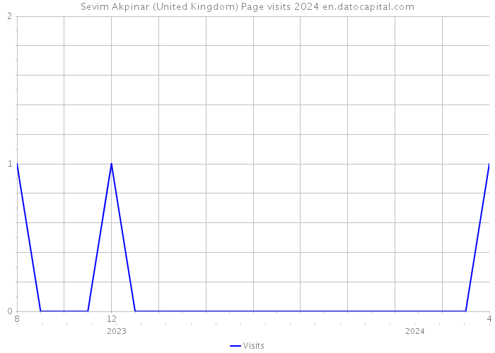 Sevim Akpinar (United Kingdom) Page visits 2024 
