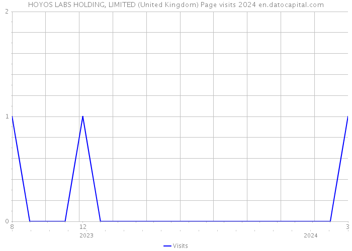 HOYOS LABS HOLDING, LIMITED (United Kingdom) Page visits 2024 