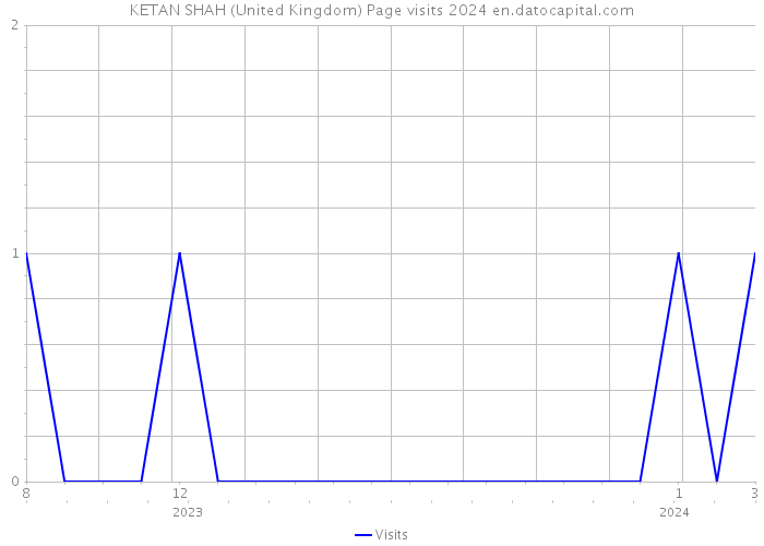 KETAN SHAH (United Kingdom) Page visits 2024 