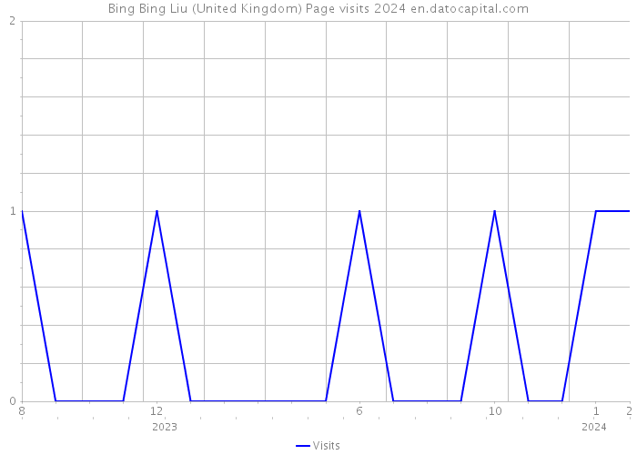 Bing Bing Liu (United Kingdom) Page visits 2024 