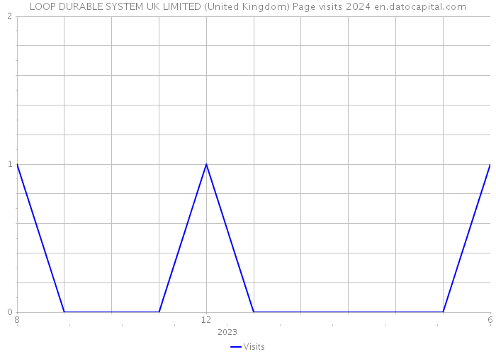 LOOP DURABLE SYSTEM UK LIMITED (United Kingdom) Page visits 2024 