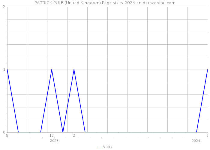 PATRICK PULE (United Kingdom) Page visits 2024 