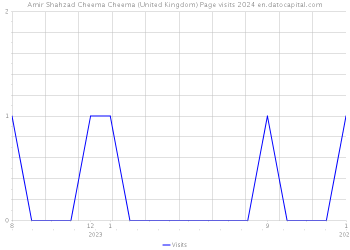 Amir Shahzad Cheema Cheema (United Kingdom) Page visits 2024 