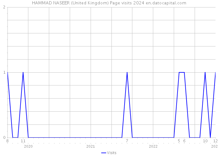 HAMMAD NASEER (United Kingdom) Page visits 2024 