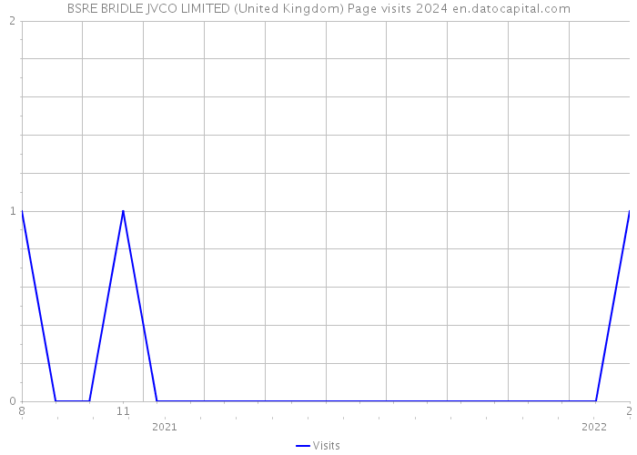 BSRE BRIDLE JVCO LIMITED (United Kingdom) Page visits 2024 