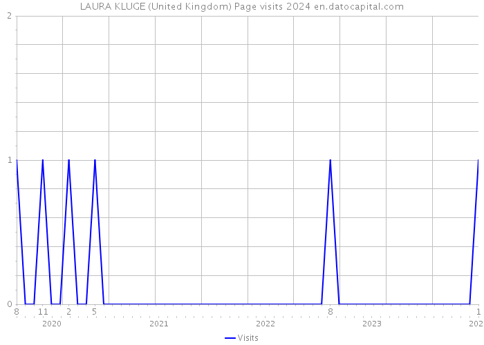 LAURA KLUGE (United Kingdom) Page visits 2024 