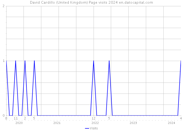 David Cardillo (United Kingdom) Page visits 2024 