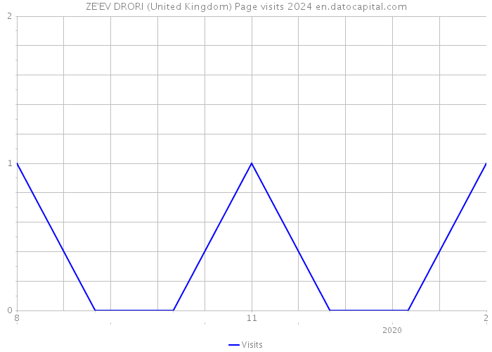 ZE'EV DRORI (United Kingdom) Page visits 2024 