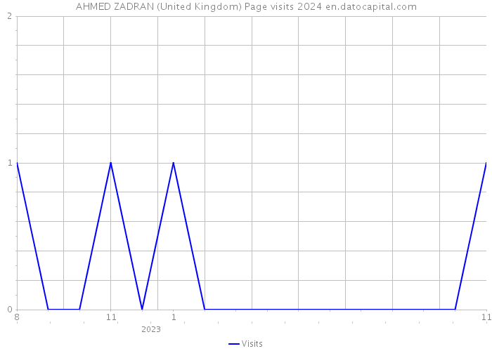 AHMED ZADRAN (United Kingdom) Page visits 2024 