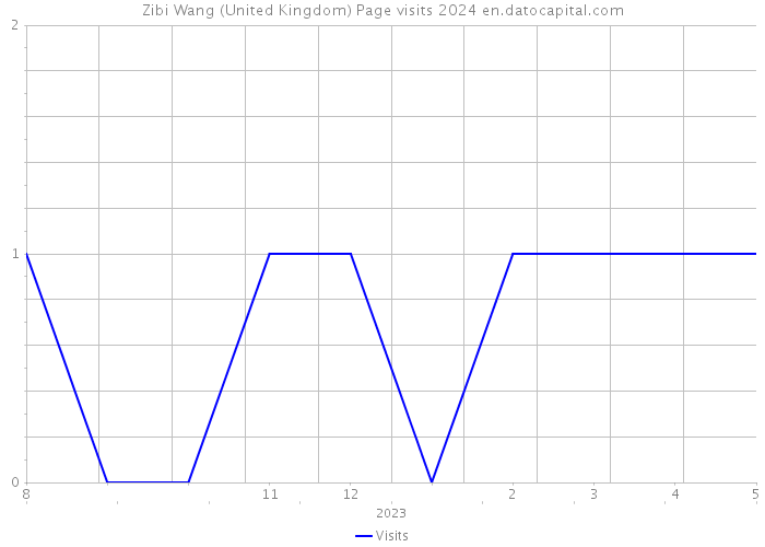 Zibi Wang (United Kingdom) Page visits 2024 