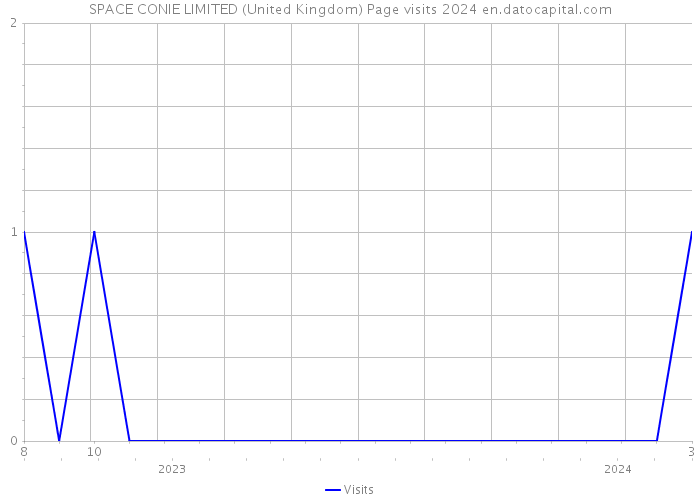 SPACE CONIE LIMITED (United Kingdom) Page visits 2024 