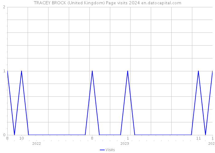 TRACEY BROCK (United Kingdom) Page visits 2024 