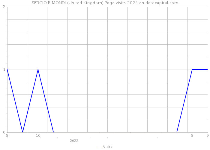SERGIO RIMONDI (United Kingdom) Page visits 2024 