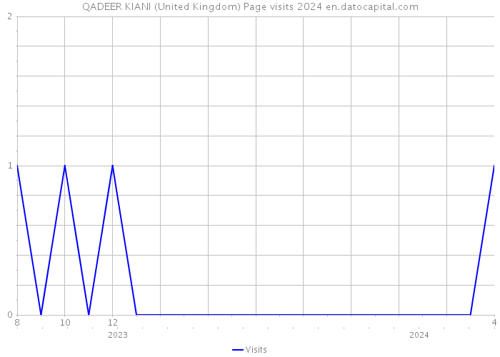 QADEER KIANI (United Kingdom) Page visits 2024 