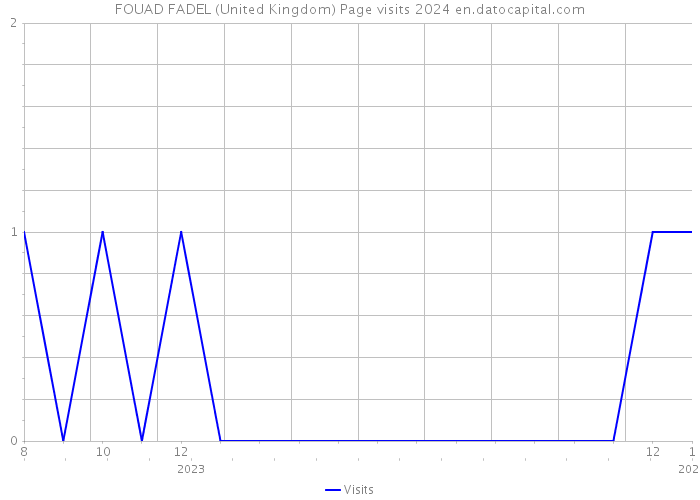 FOUAD FADEL (United Kingdom) Page visits 2024 