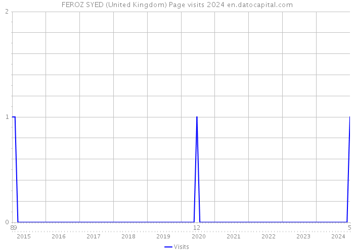 FEROZ SYED (United Kingdom) Page visits 2024 
