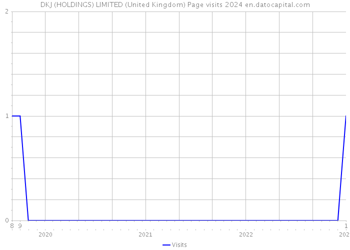 DKJ (HOLDINGS) LIMITED (United Kingdom) Page visits 2024 