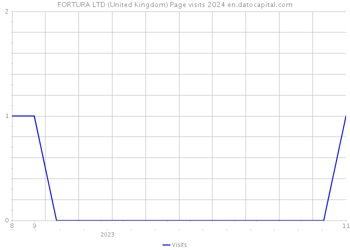 FORTURA LTD (United Kingdom) Page visits 2024 