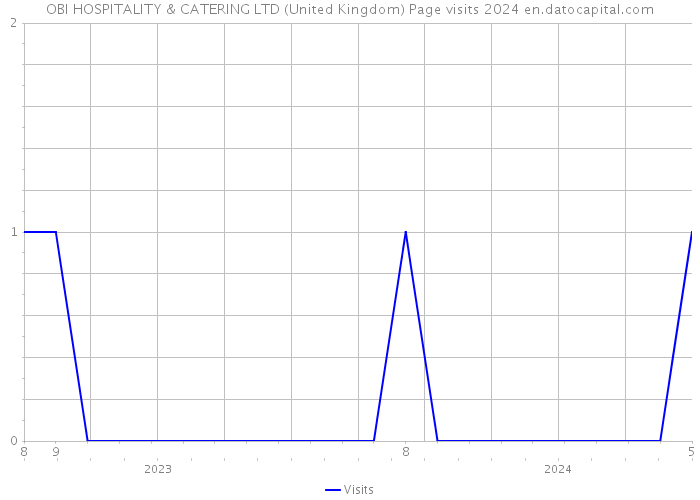 OBI HOSPITALITY & CATERING LTD (United Kingdom) Page visits 2024 