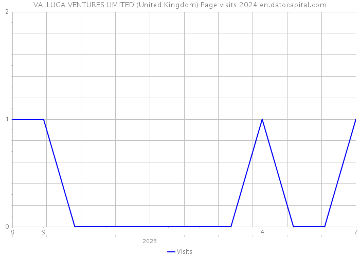 VALLUGA VENTURES LIMITED (United Kingdom) Page visits 2024 