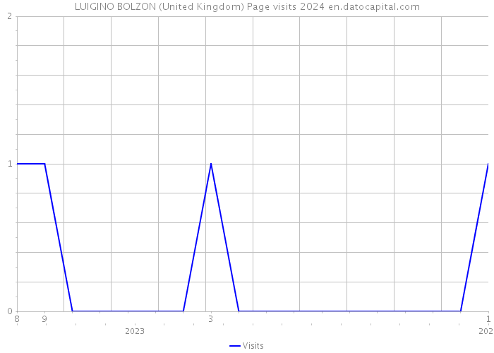 LUIGINO BOLZON (United Kingdom) Page visits 2024 
